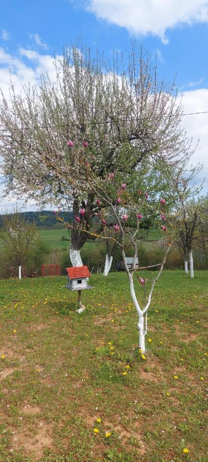 Guesthouse Miha Rakovica Eksteriør bilde